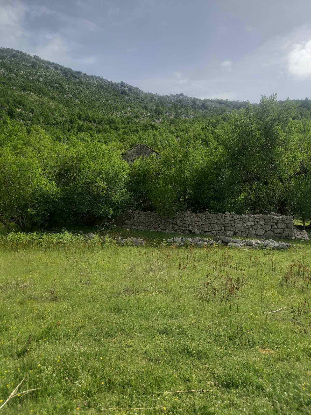 amforaproperty.com/Zemljiste površine 610,000m2 u mestu Dragalj,opština Kotor.