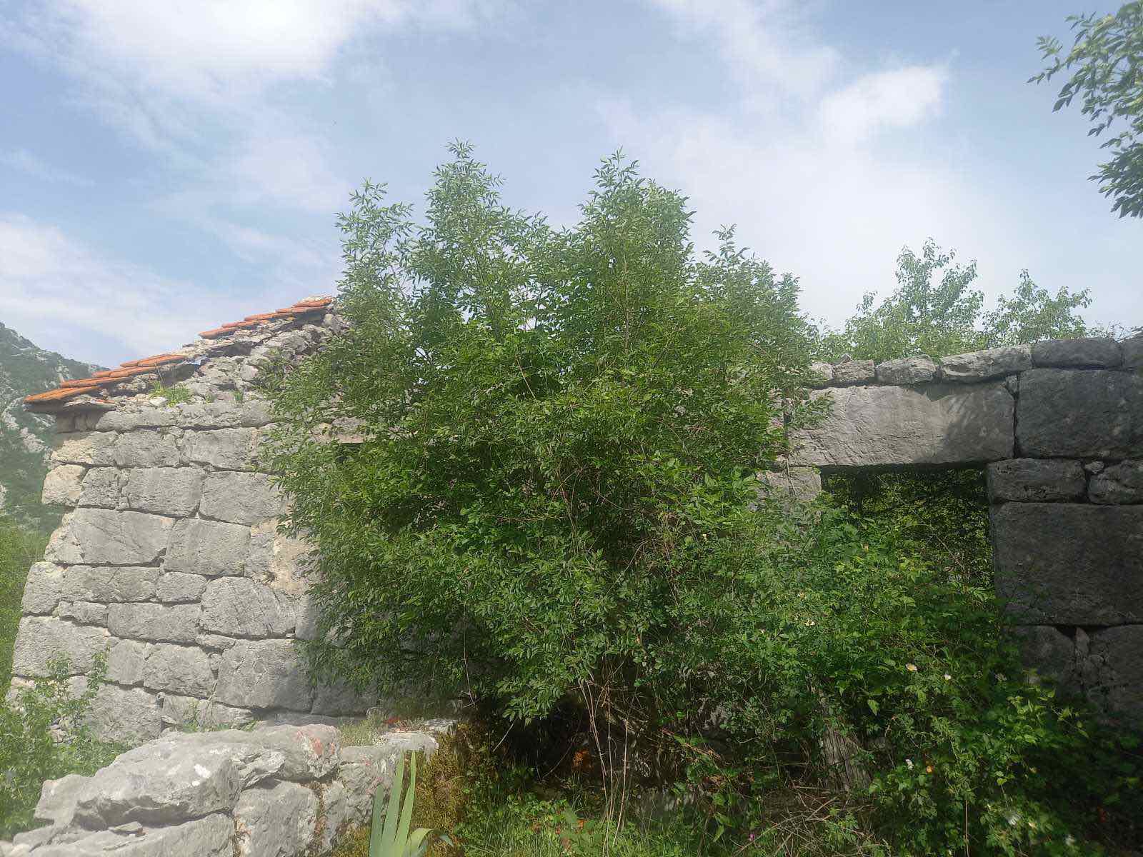 amforaproperty.com/Zemljiste površine 610,000m2 u mestu Dragalj,opština Kotor.