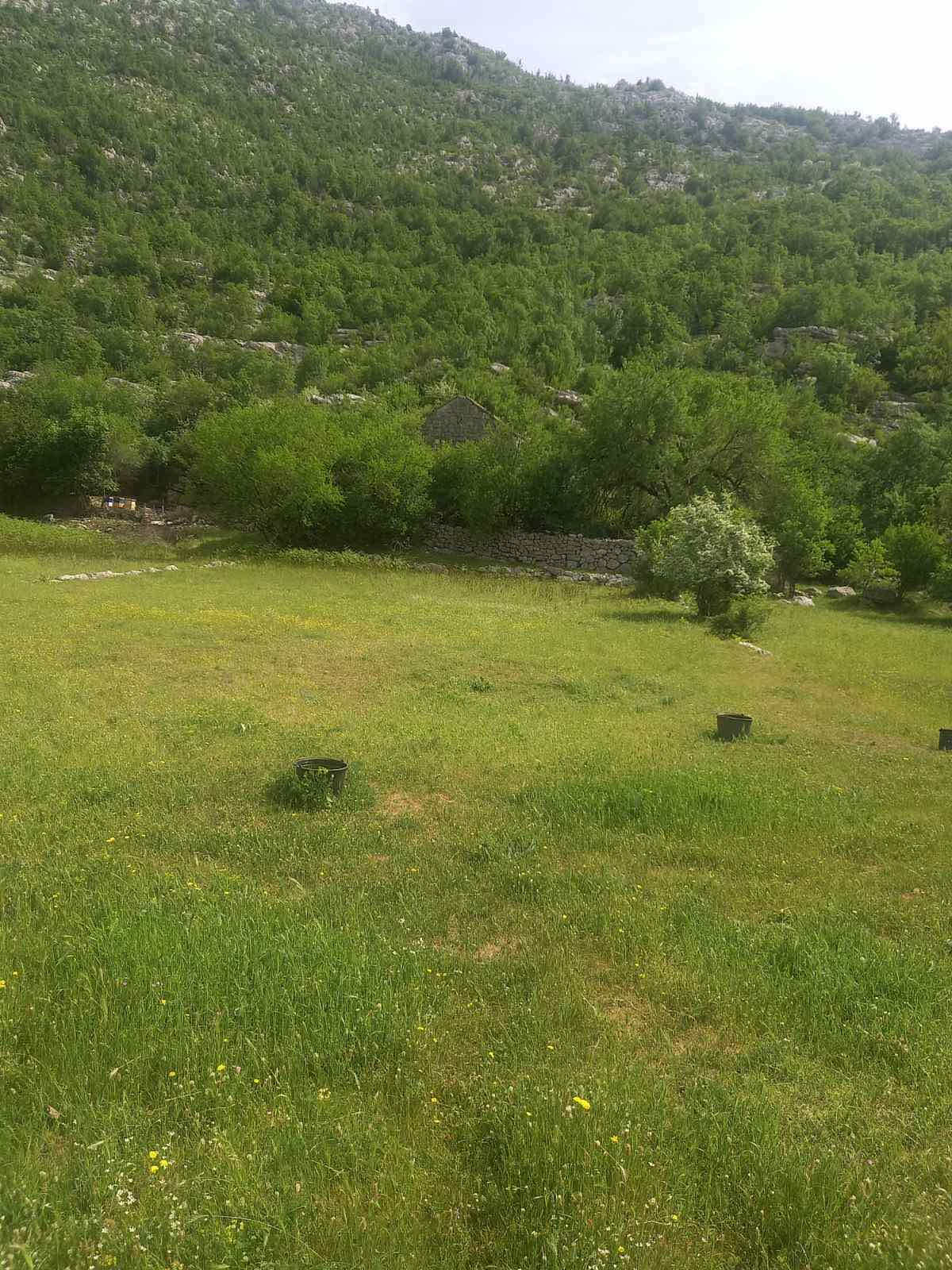 amforaproperty.com/Zemljiste površine 610,000m2 u mestu Dragalj,opština Kotor.