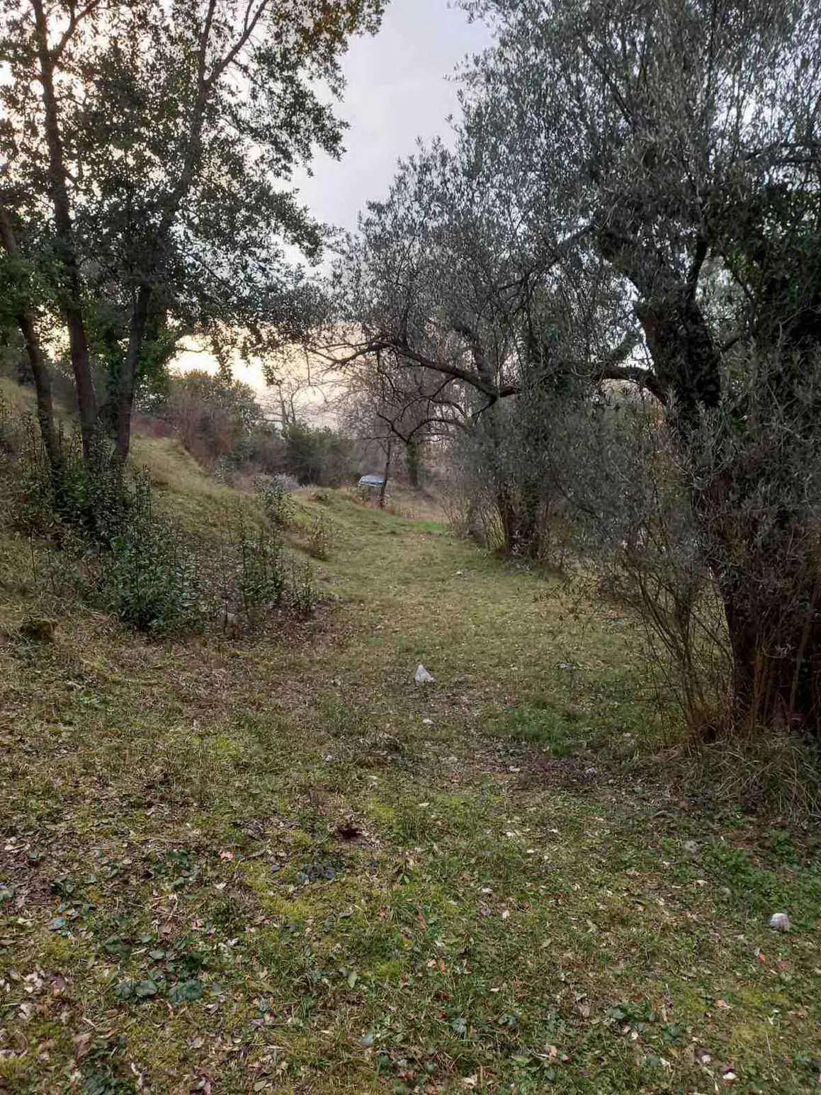 amforaproperty.com/Prodaja,Naljezici,Kotor-Plac 1300m² sa pogledom na zaliv